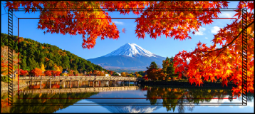 画像原寸サイズで表示