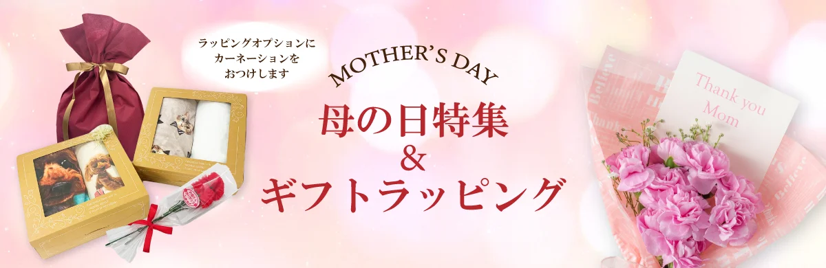 2026ǯ������������᥮�եȥ�åԥ󥰡����Ĥ�β��ʤǥ����͡�����󤬤Ĥ��Ƥ���