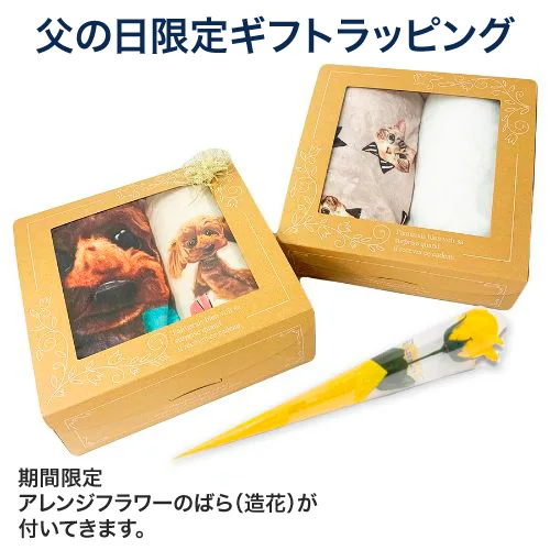 ���ե�BOX����������ꥻ�åȡ�