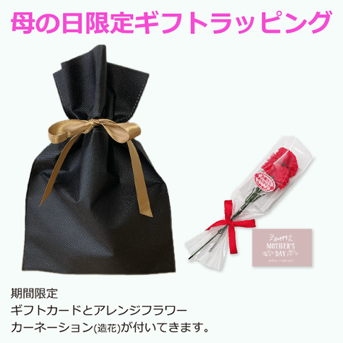 ���եȥ�åԥ󥰡���������ꥻ�åȡ�