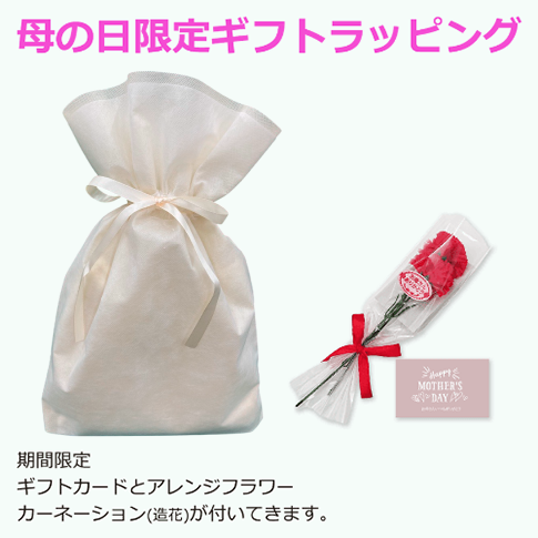 ���եȥ�åԥ󥰡���������ꥻ�åȡ�