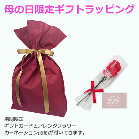 ���եȥ�åԥ󥰡���������ꥻ�åȡ�