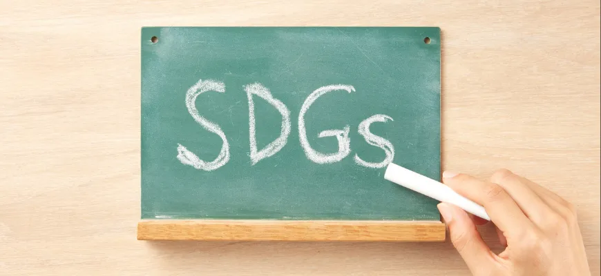 SDGs˹׸ǤΥ٥ƥƥ