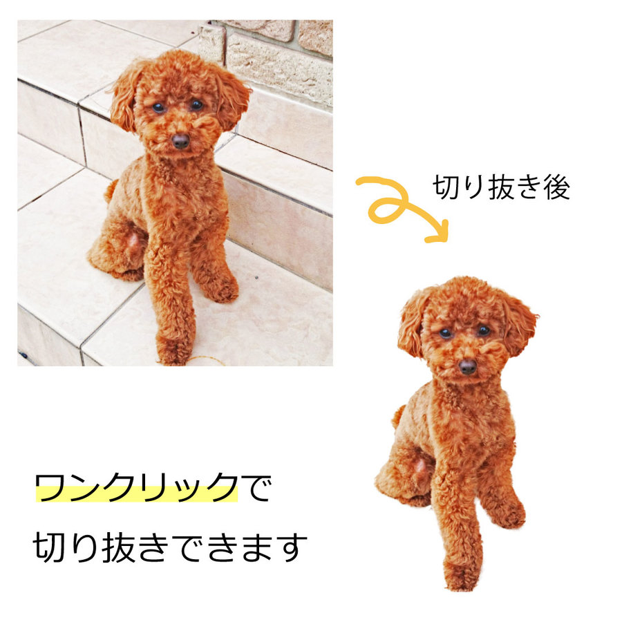 【簡単】写真を切り抜いてオリジナルデザインが作れます